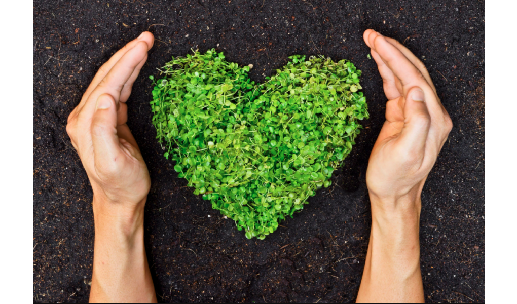 4 Quick Tips: How To Be More Environmentally Conscious