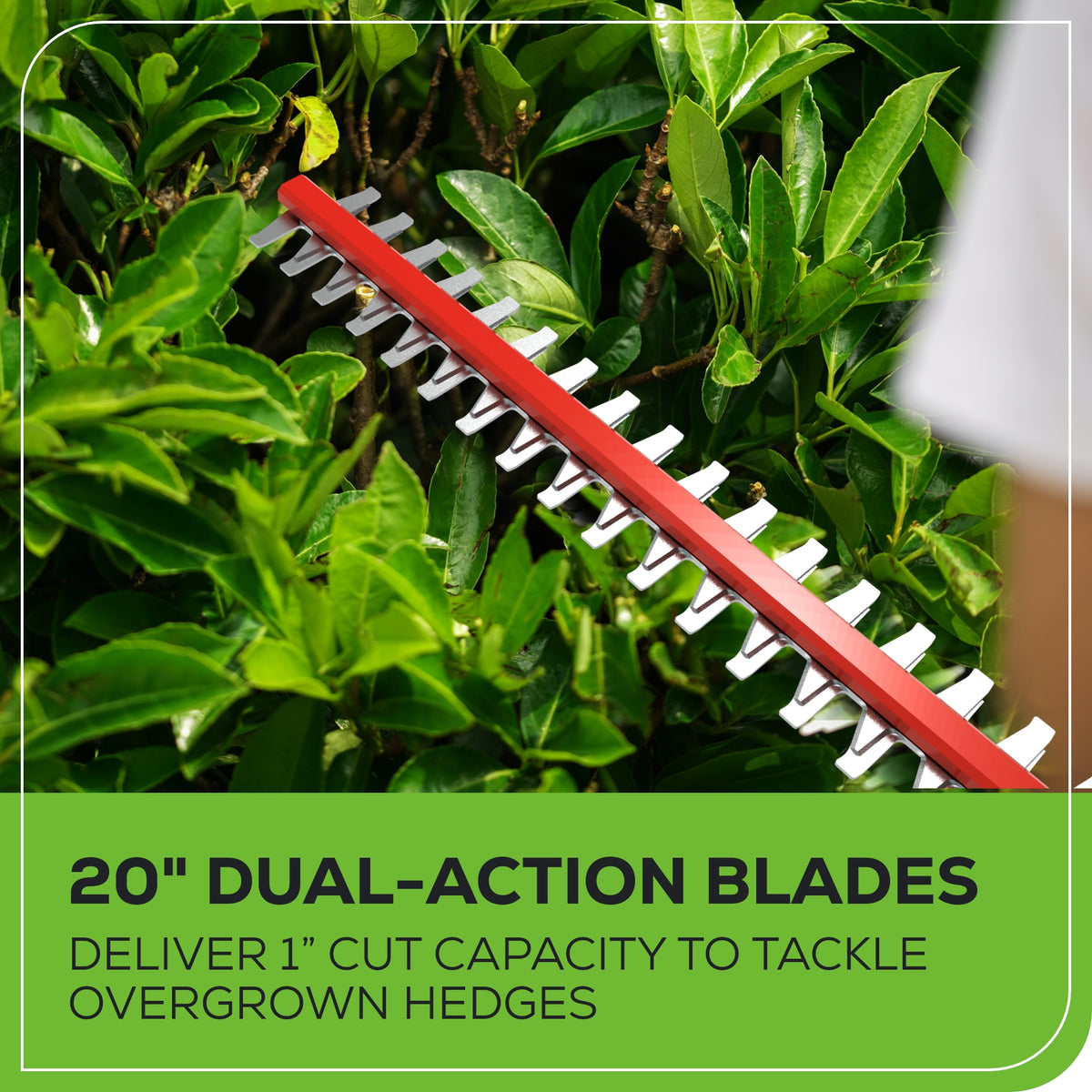 40V 8" Cordless Battery Pole Saw and Hedge Trimmer Attachment: 2.0 Ah Battery and Charger