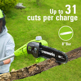 24V 8" Cordless Battery Polesaw and Pole Hedge Trimmer Combo Kit, 2Ah USB Battery and Charger