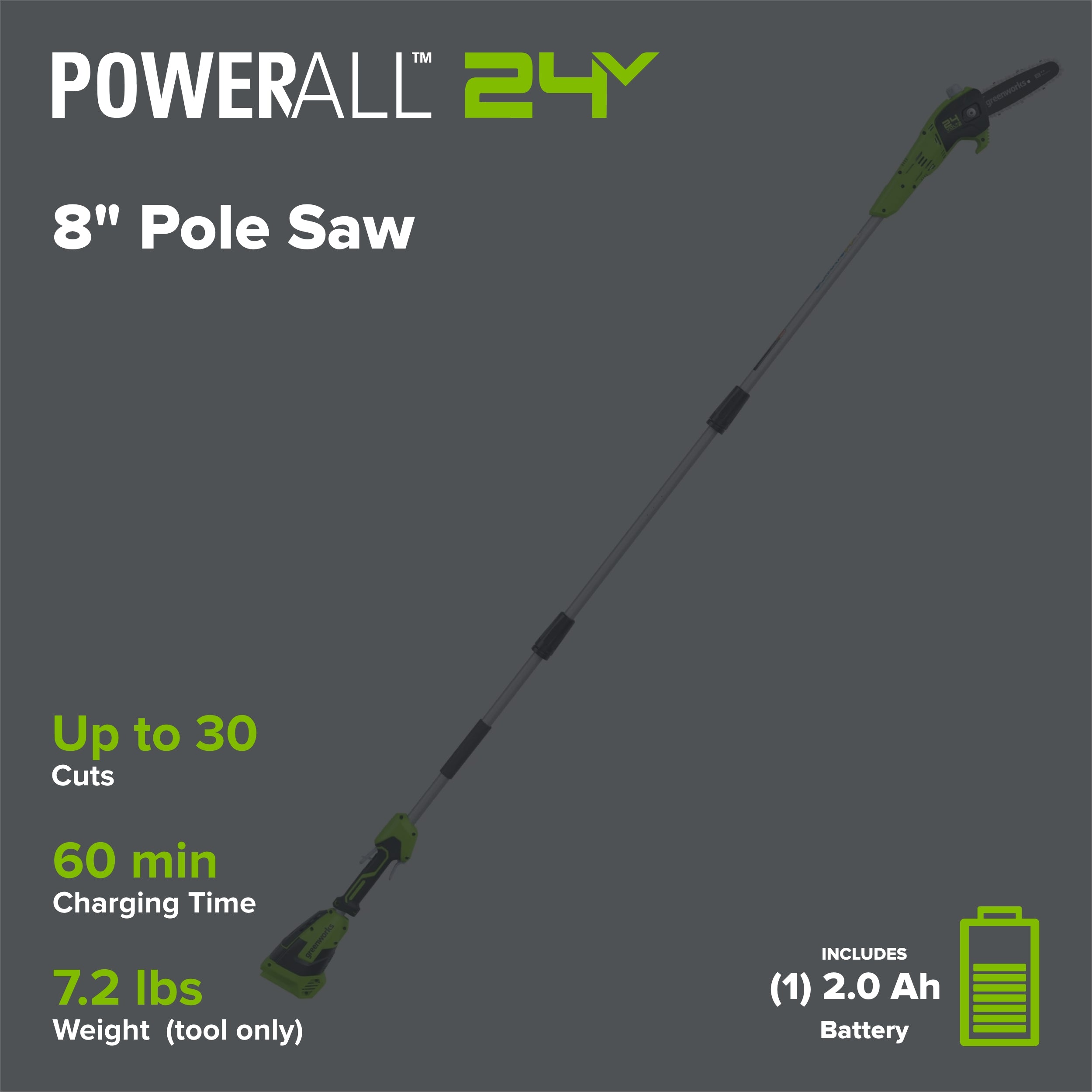 24V 8" Cordless Battery Pole Saw w/ 2.0 Ah Battery & Charger