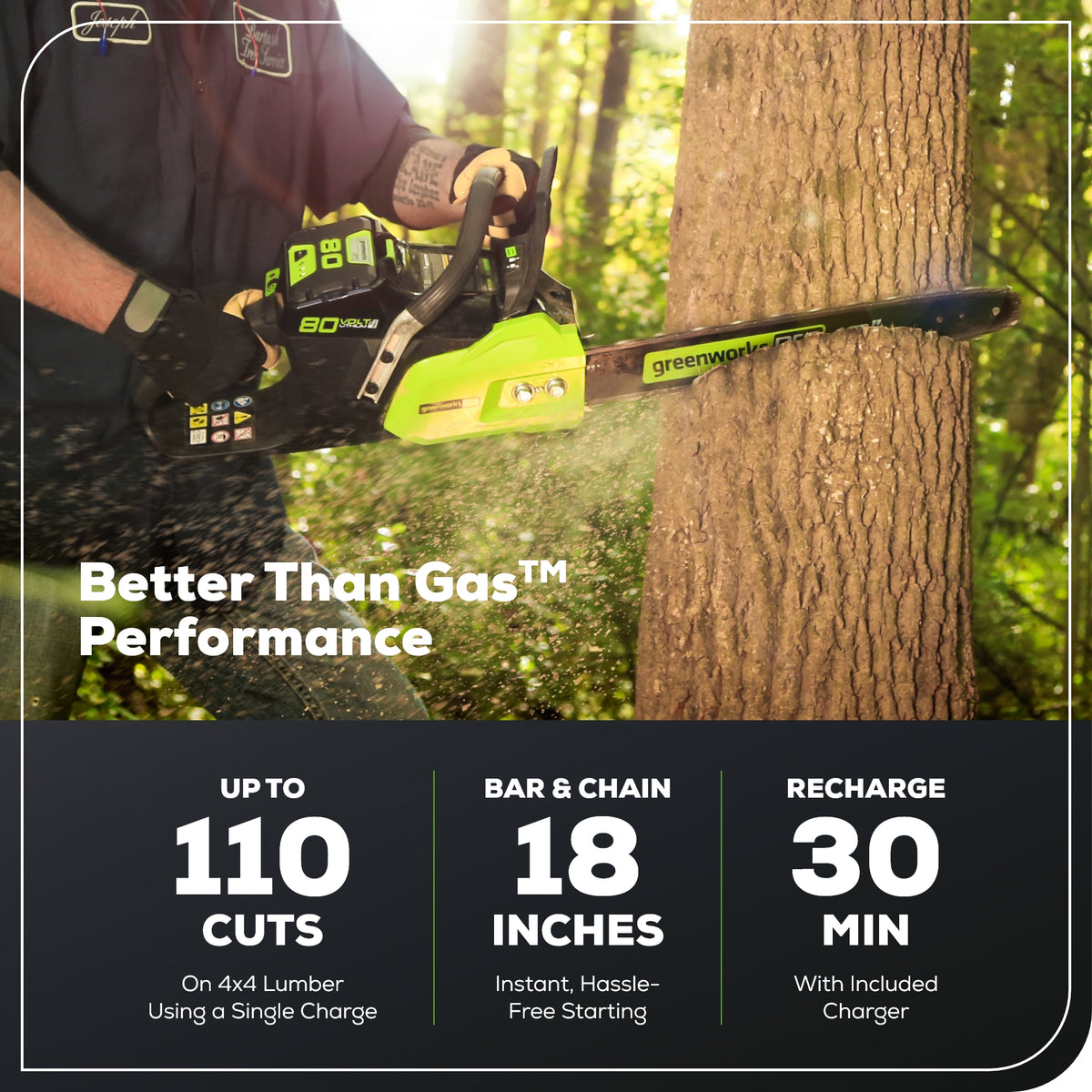 80V 18" Cordless Battery Chainsaw: 2.0 Ah Battery and Charger