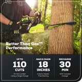80V 18" Cordless Battery Chainsaw: 2.0 Ah Battery and Charger