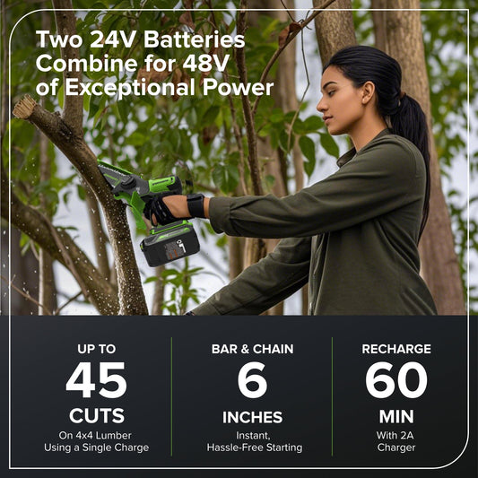 24V 6