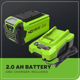 40V 13" Cordless Battery String Trimmer / Edger, 20PC Blades, (1)2.0 Ah Battery and (1)2A Charger