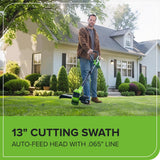 40V 13" Cordless Battery String Trimmer / Edger, 20PC Blades, (1)2.0 Ah Battery and (1)2A Charger