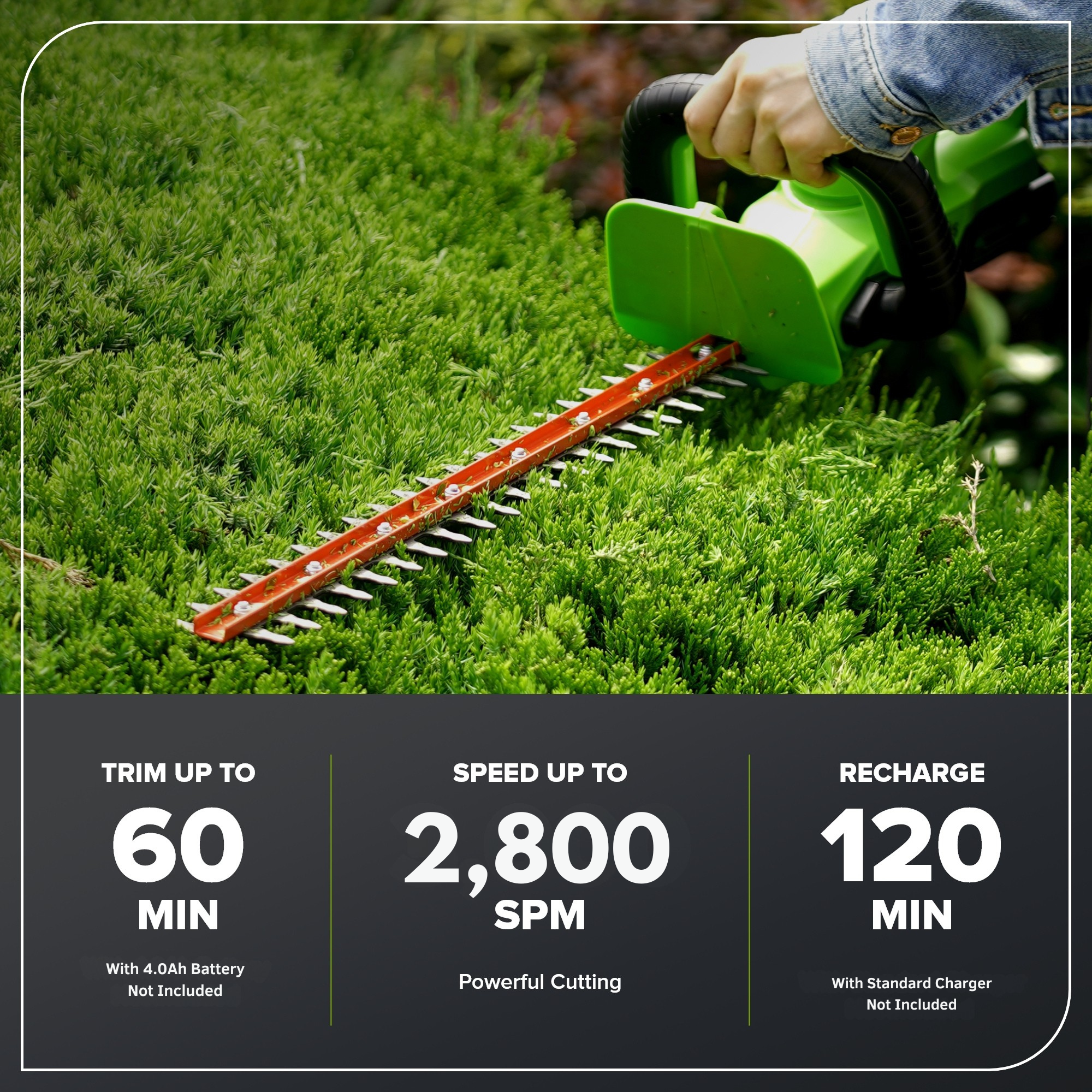 24V 22" Cordless Battery Hedge Trimmer 2800 SPM (Tool Only)