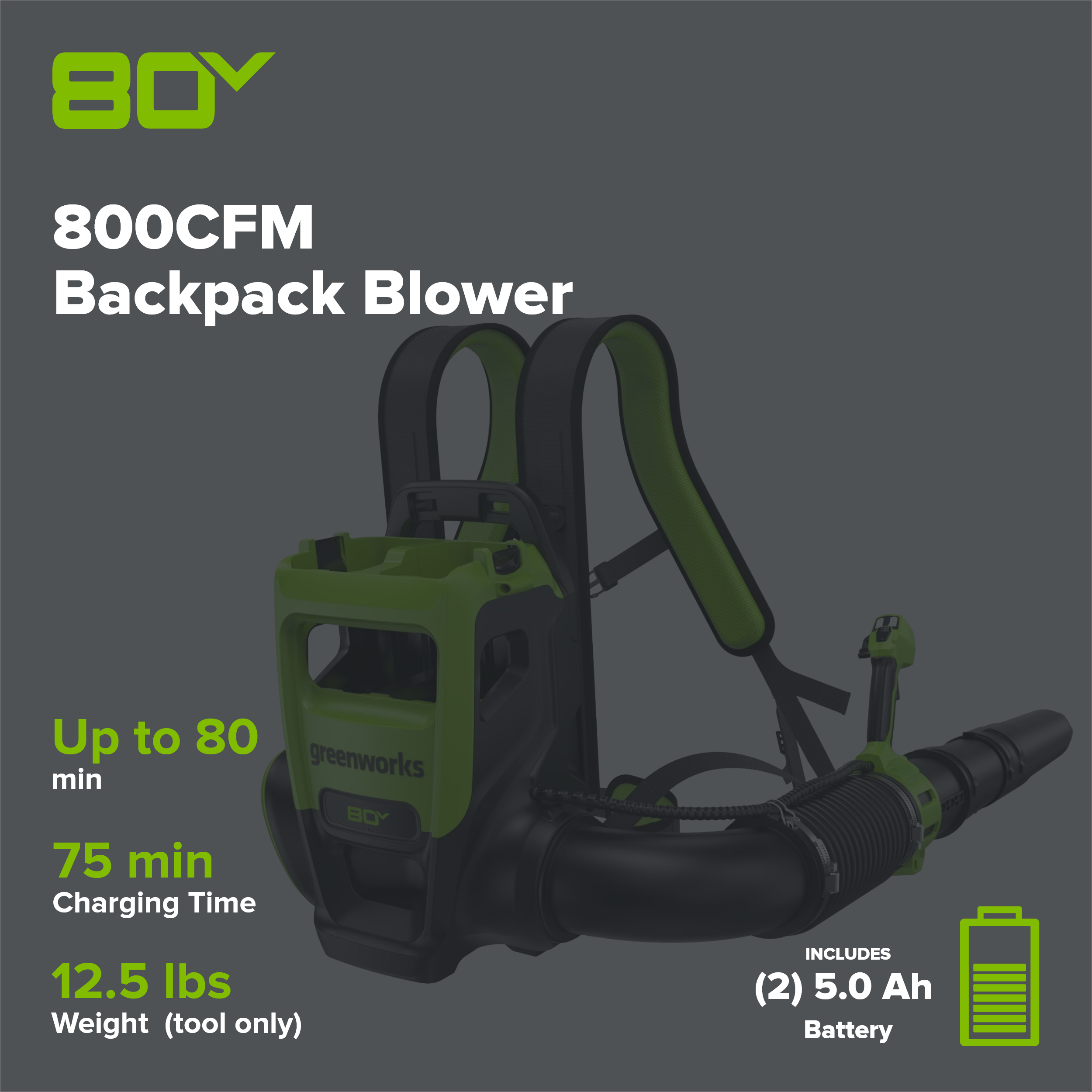 80V 800CFM Cordless Battery Dual-Port Backpack Blower: (2) 5Ah Battery and Dual-Port Rapid Charger