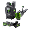 82V 690 CFM Dual-Port Backpack Blower: (2) 5.0 Ah Batteries and Dual-Port Charger