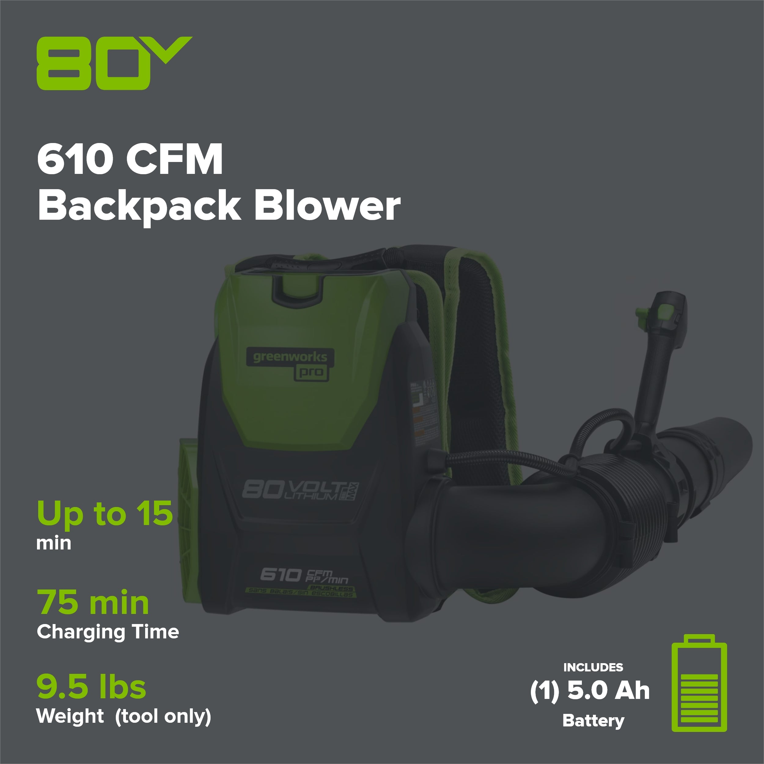 80V 610 CFM Cordless Battery Backpack Blower ,5Ah Battery and Rapid Charger