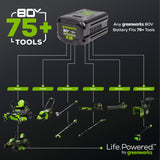 80V 800 CFM Cordless Battery Backpack Blower and Leaf Tarp: 4.0 Ah Battery and Rapid Charger