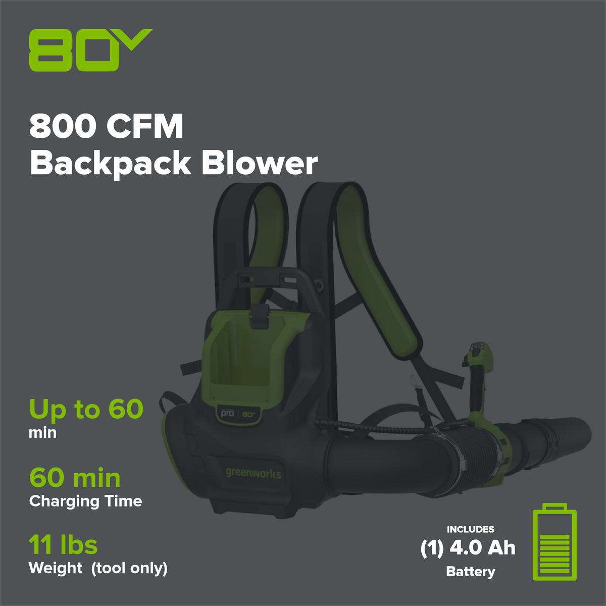 80V 800 CFM Cordless Battery Backpack Blower and Leaf Tarp: 4.0 Ah Battery and Rapid Charger
