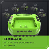 80V 2A Standard Charger