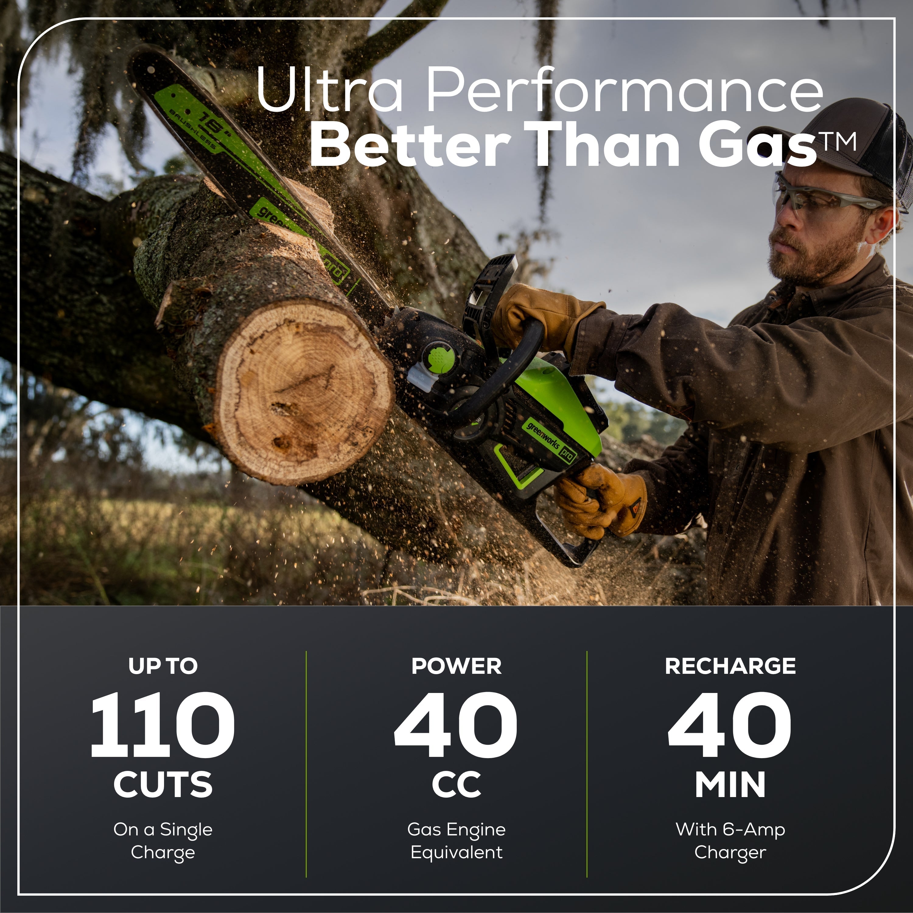 60V 18" Cordless Battery 2.0 kW Chainsaw and 24V 6" Pruner Saw, (1) 4.0 Ah Battery: (1) 2.0 Ah Battery and (2) Chargers
