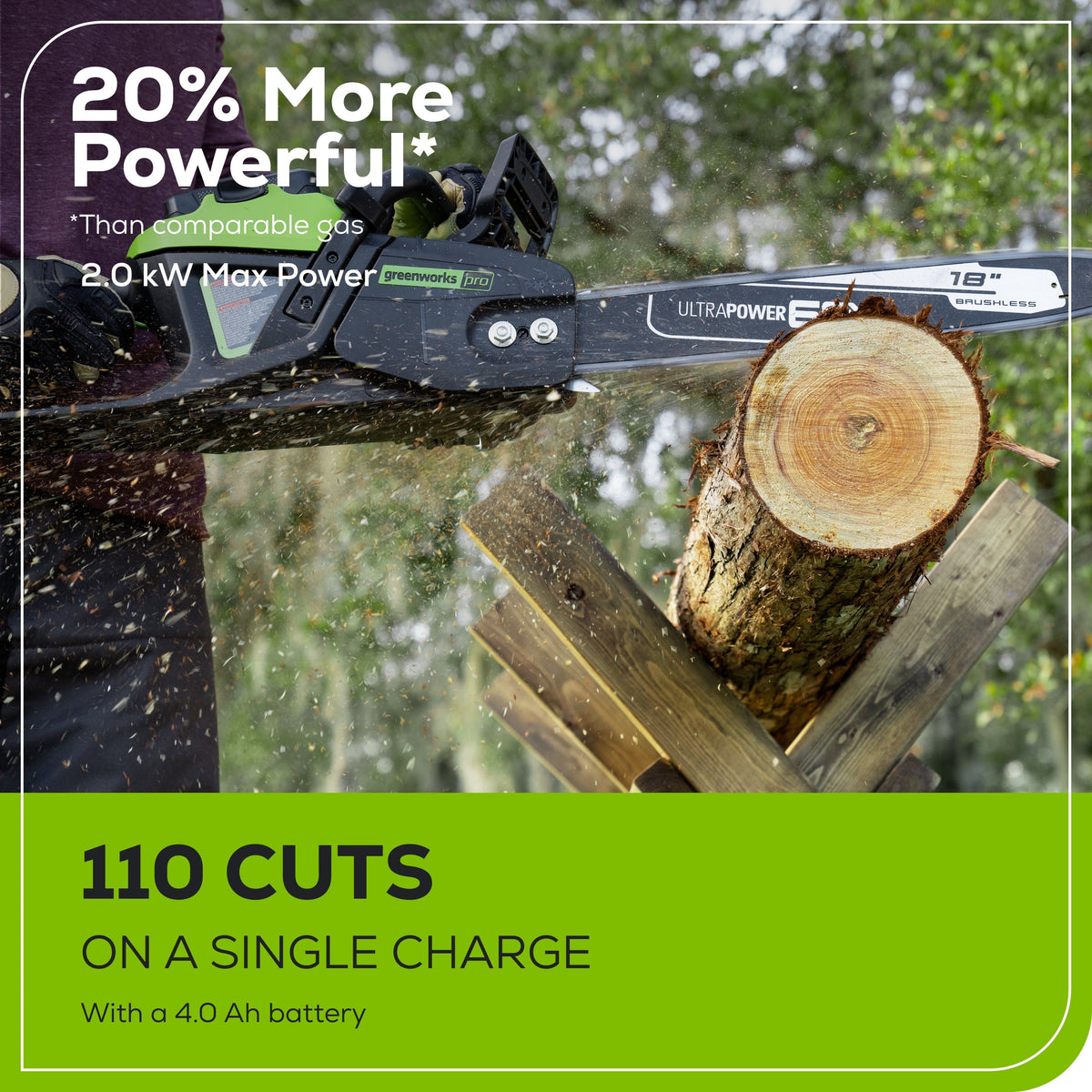60V 18" Cordless Battery 2.0 kW Chainsaw and 24V 6" Pruner Saw, (1) 4.0 Ah Battery: (1) 2.0 Ah Battery and (2) Chargers