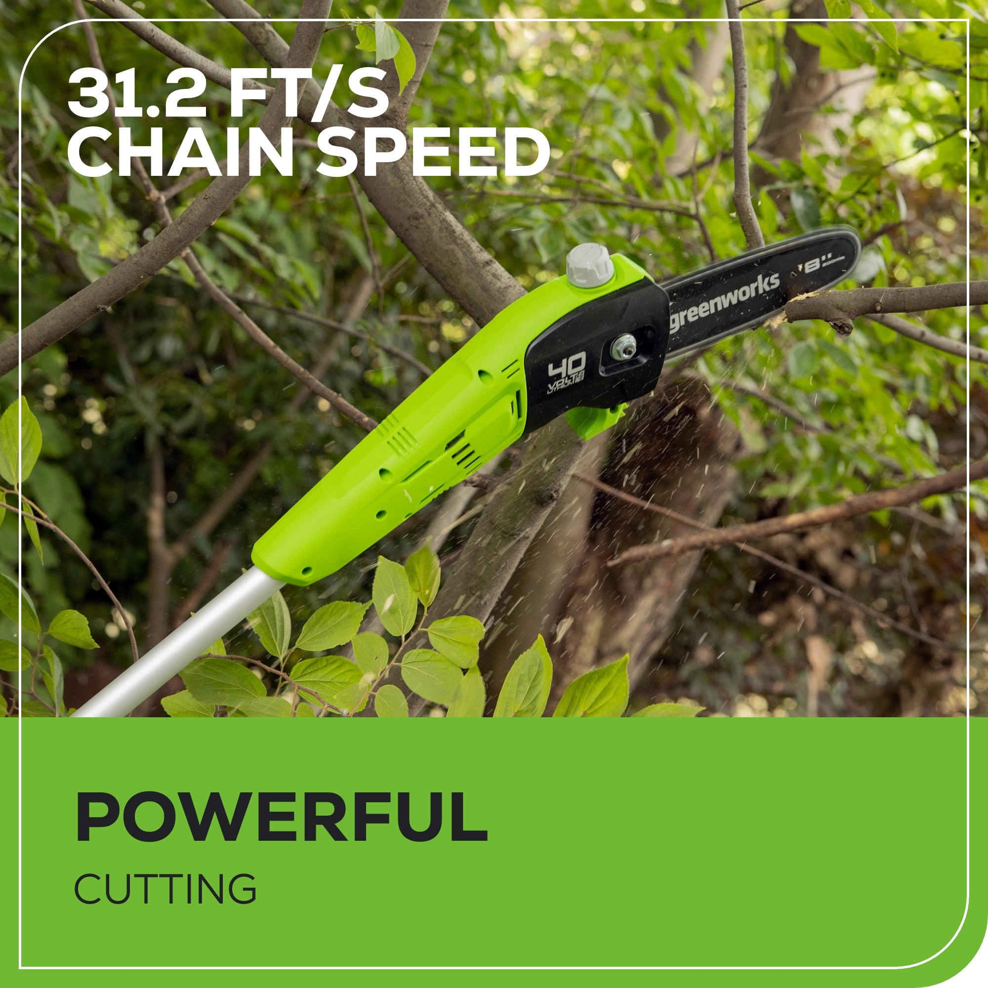 40V 8" Cordless Battery Pole Saw: 2.0 Ah Battery and Charger