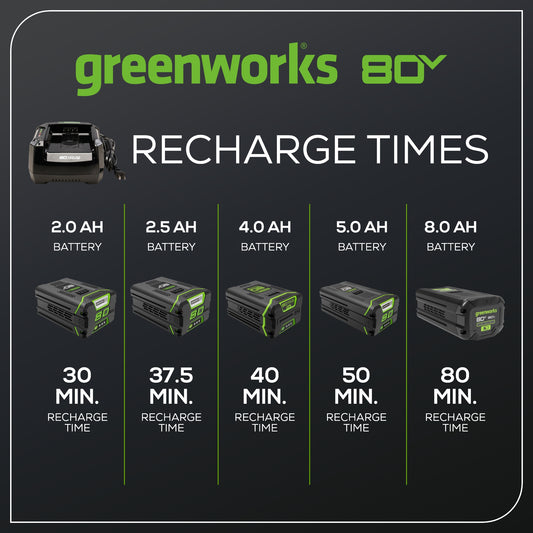 RENEWED 80V 6A Battery Charger