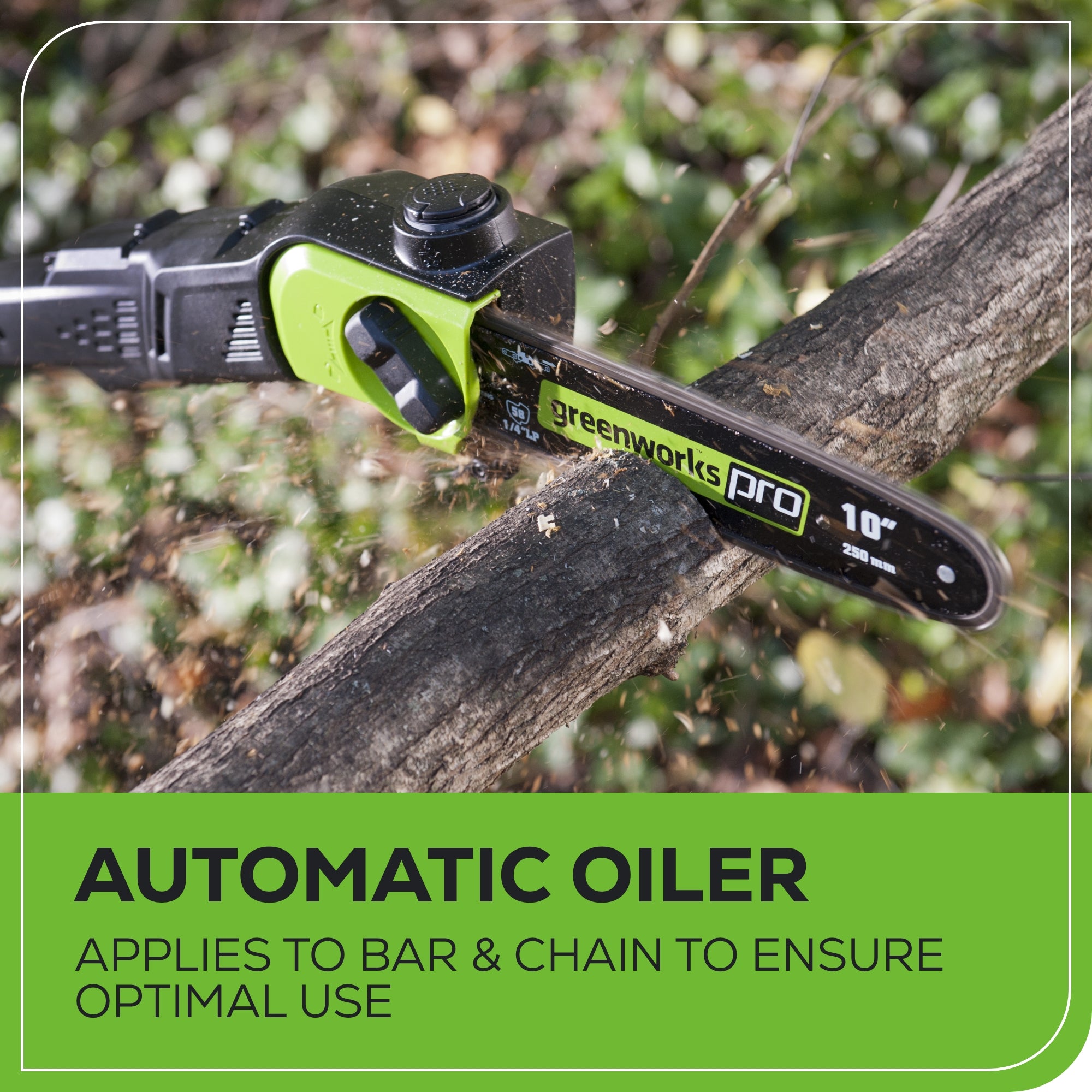 80V Cordless 10" Brushless Pole Saw: 2.0 Ah Battery and Rapid Charger