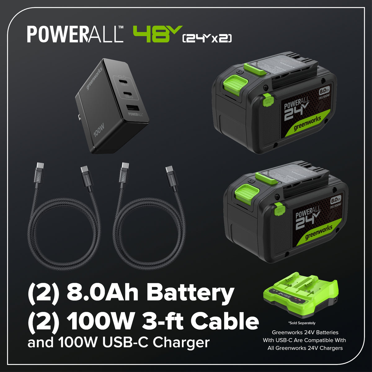 48V (24V x 2) 730 CFM Cordless Battery Dual-Port Backpack Blower: (2) 8.0 Ah Battery, 100W Charger and (2) 3-Ft Cables