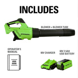 40V 500 CFM Cordless Battery Leaf Blower: 2.5 Ah Battery and Charger