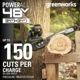48V (24V x 2) 16" Cordless Battery Chainsaw: (2) 4.0 Ah USB Batteries and Dual-Port Charger