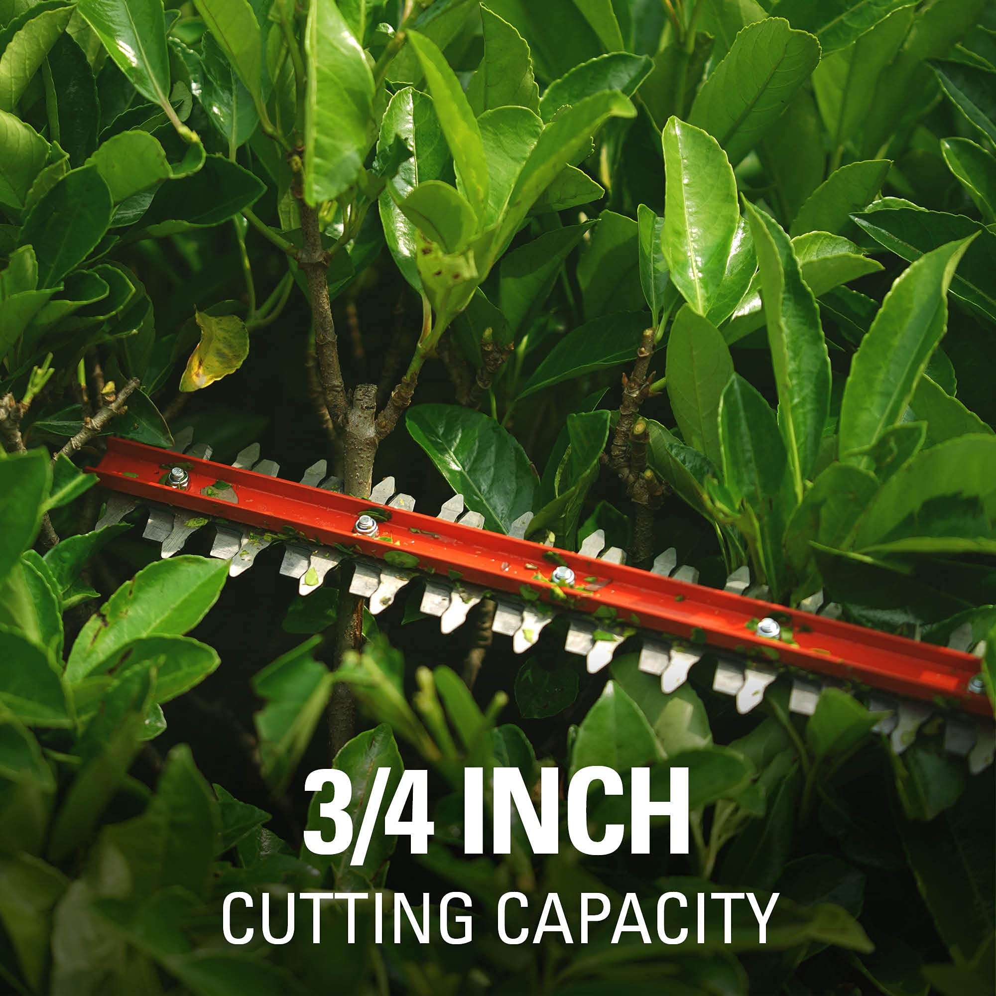 48V (24V x 2) 15" Cordless Battery TORQDRIVE String Trimmer Combo Kit, 24V 320 CFM Blower and 24V 22" Hedge Trimmer: (2) 2.0 Ah USB Batteries and Charger